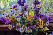 Полевые цветы, отдушка (Россия) 10мл