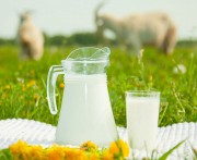 Козье молоко, отдушка (Украина), 10мл