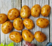 Картофель (Размер: 3,5см * 25мм), 1шт