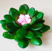 Суккулентное растение, Силиконовая форма 3D
