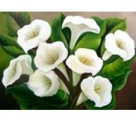 Цветы на длинном стебле