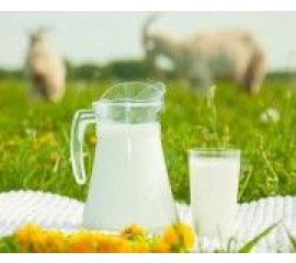 Напитки (чаи, соки и т.д.) / кондитерские