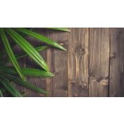 Фотофон "Доски и листья-1". Размер А4.