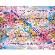 Клапан для пакета "С праздником весны"-1