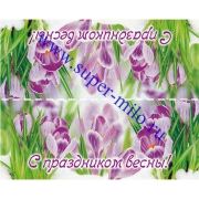 Клапан для пакета "С праздником весны"-3