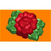Пион листья