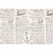 Пленка цветная 70 см Пушкинские строки цвет черный - Пленка прозрачная - 1 м