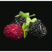 Малина/Ежевика (3*2,5см)= 1шт